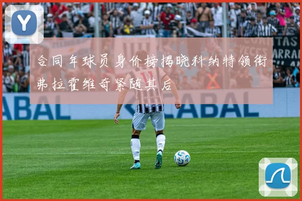 合同年球员身价榜揭晓科纳特领衔弗拉霍维奇紧随其后