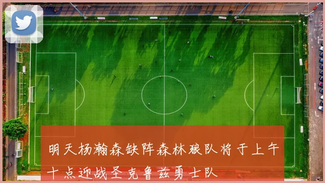 明天杨瀚森缺阵森林狼队将于上午十点迎战圣克鲁兹勇士队