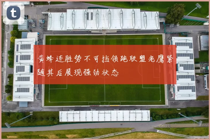 黄蜂连胜势不可挡领跑联盟老鹰紧随其后展现强劲状态